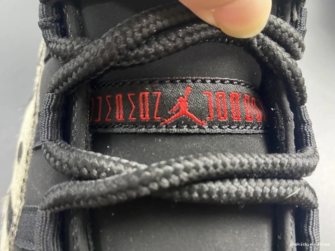 Rep 11 ANIMAL INSTINCT AIR JORDAN AR0715-010 0701